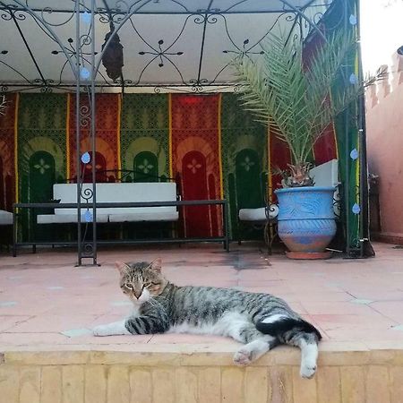 مراكش Riad Araba Felice المظهر الخارجي الصورة
