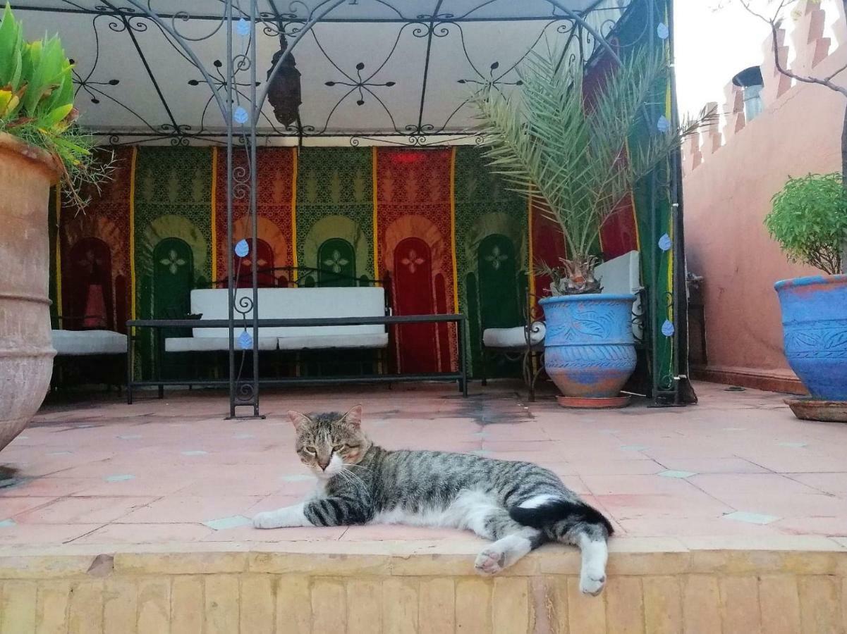 مراكش Riad Araba Felice المظهر الخارجي الصورة